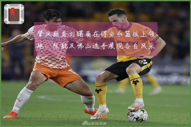 肇庆新秀刘曙萌在得分和篮板上领跑，陈航及佛山选手展现各自风采