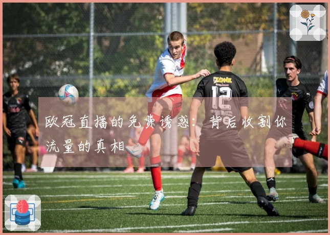 欧冠直播的免费诱惑：背后收割你流量的真相