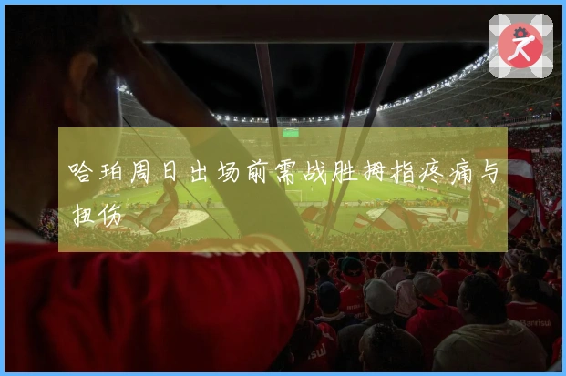 哈珀周日出场前需战胜拇指疼痛与扭伤